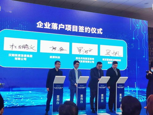 漢陽星火鏈網(wǎng)骨干節(jié)點(diǎn)上線暨武漢星火數(shù)字產(chǎn)業(yè)大樓揭牌儀式圓滿落幕，為投資房地產(chǎn)注入數(shù)字新動(dòng)能